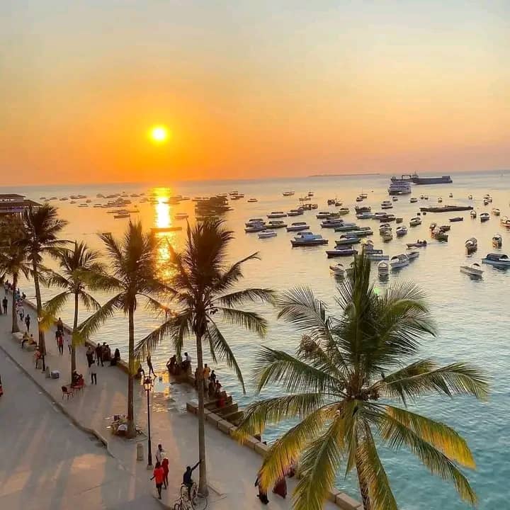 Zanzibar Stone Town panorama at sunset
