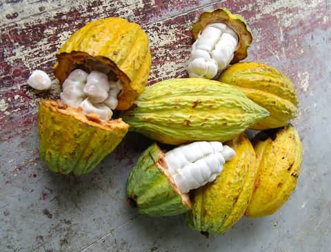 Raw Cacao