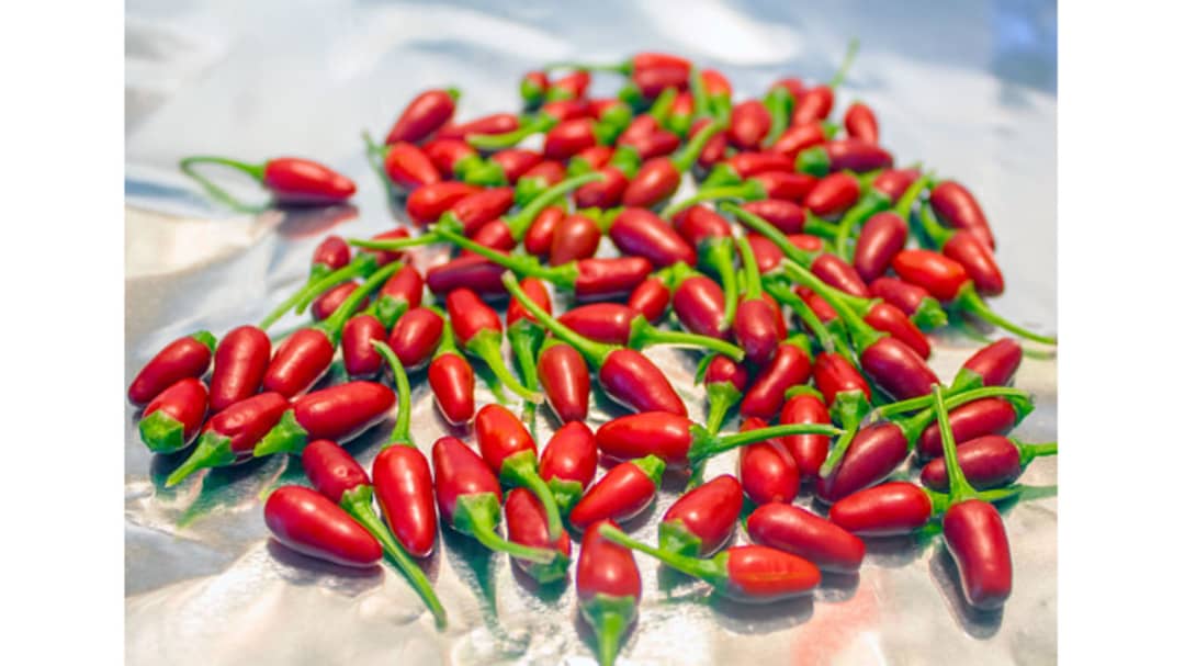 Zanzibar Chili